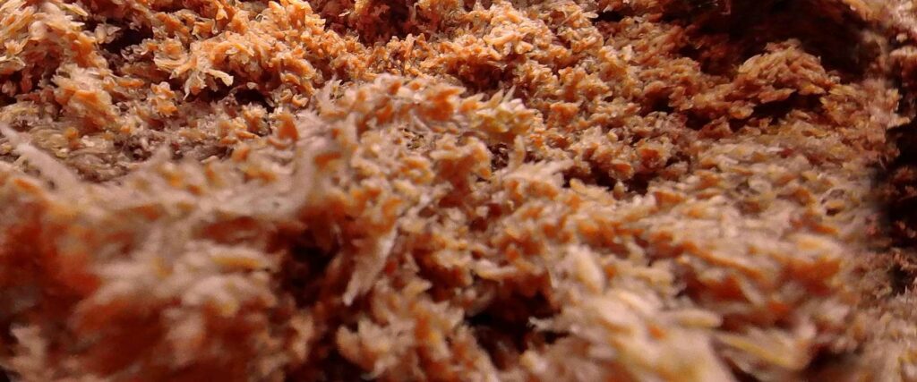 Turba Tol - Kein comunicaci&oacute;n digital